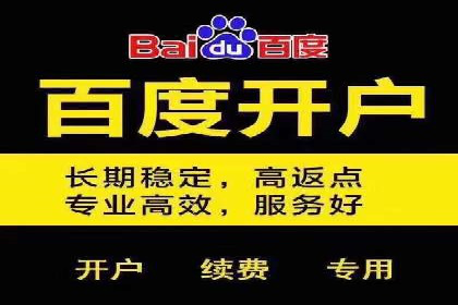 SEM搜索引擎优化成功案例，揭示优化策略与技巧